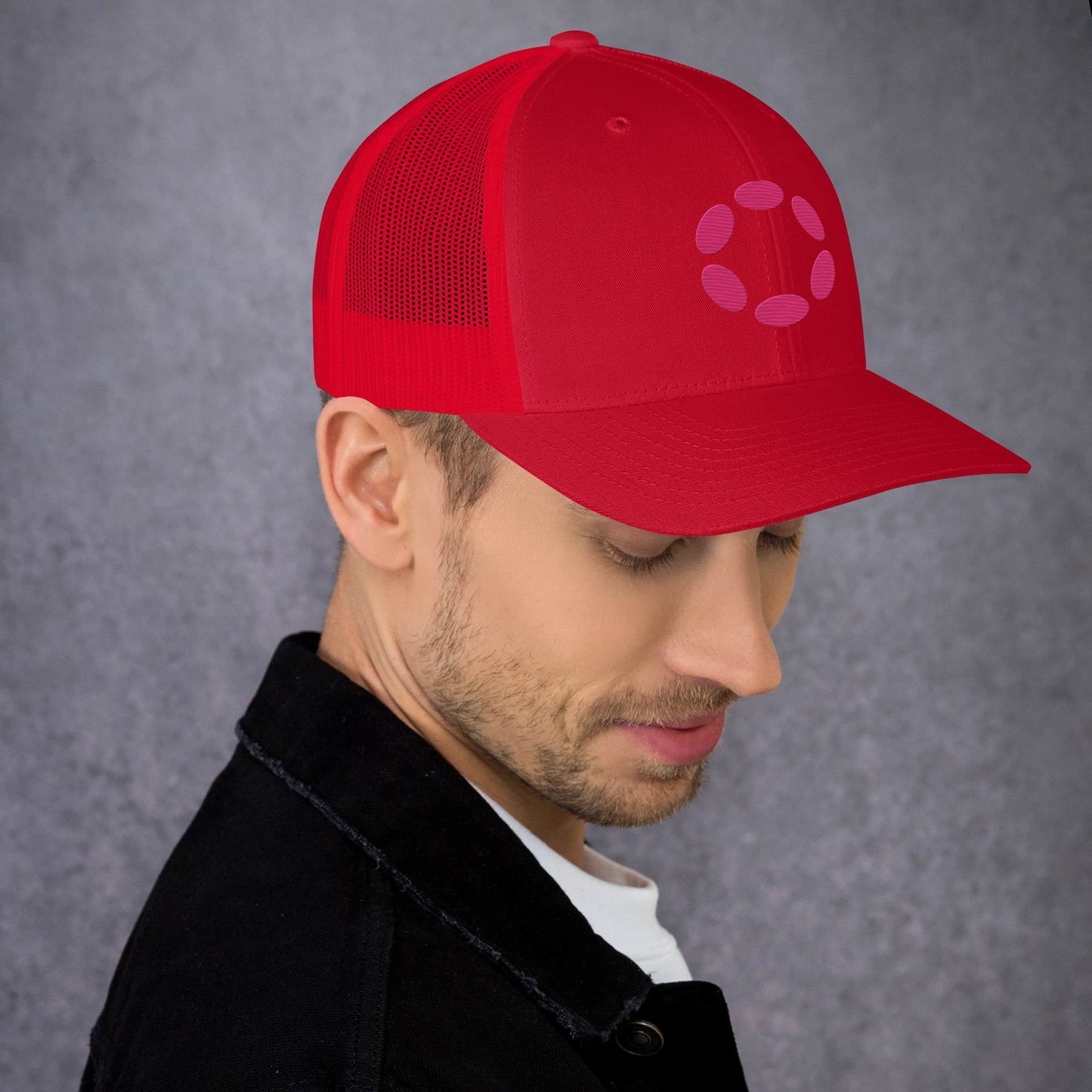 Polkadot verkkolippis