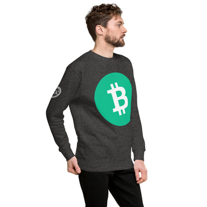 Bitcoin Cash collegepaita